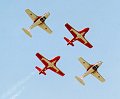 Snowbirds01