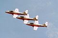 Snowbirds02