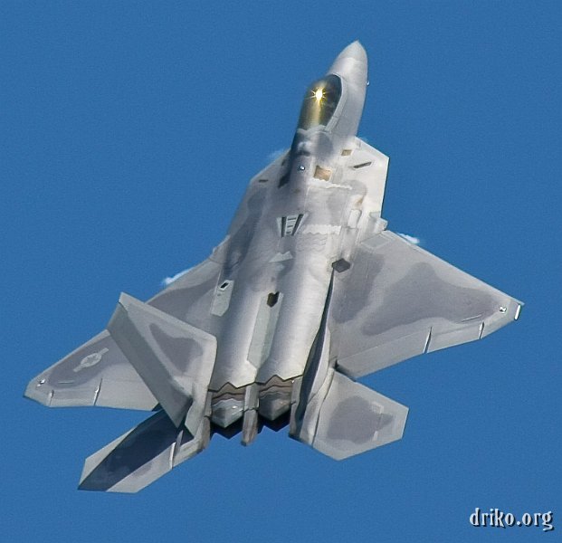 IMG_1232_800.jpg - F-22 Raptor 6
