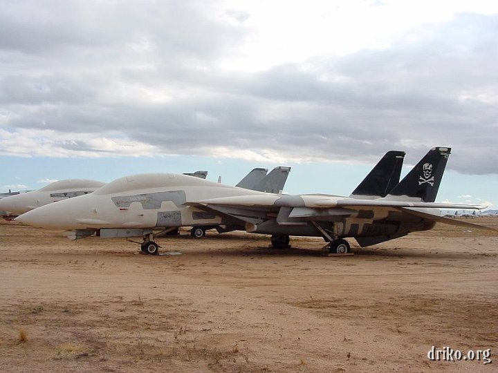 DSC00145.JPG - F-14 Tomcats; an especially sad sight to see...