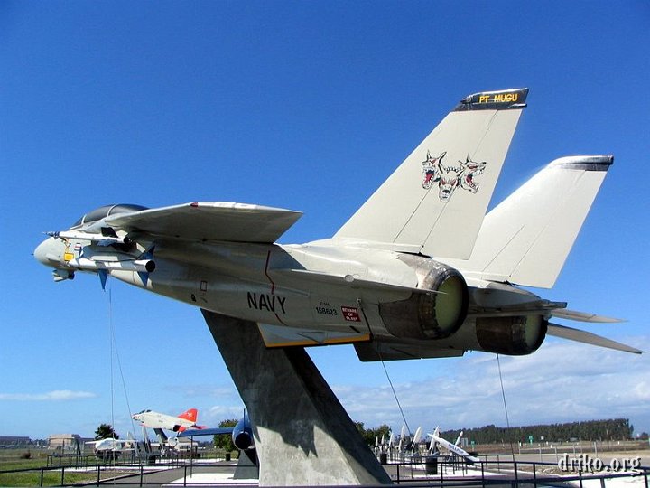 IMG_1103.JPG - F-14 Tomcat 3