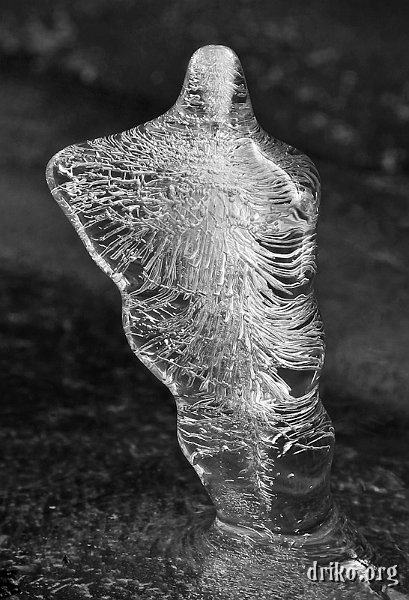 IMG_3217_800.jpg - I'm not exactly sure how this miniature ice sculpture formed.  There are branches overhanging the table on our deck, but I can't figure out how they would have dripped to form this.  Very cool...