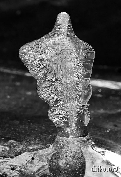 IMG_3221_800.jpg - I'm not exactly sure how this miniature ice sculpture formed.  There are branches overhanging the table on our deck, but I can't figure out how they would have dripped to form this.  Very cool...