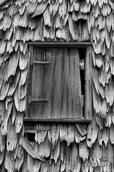IMG_0881.JPG - Shingles 2  The wooden shingling on this Sotterley Plantation barn had amazing texture...