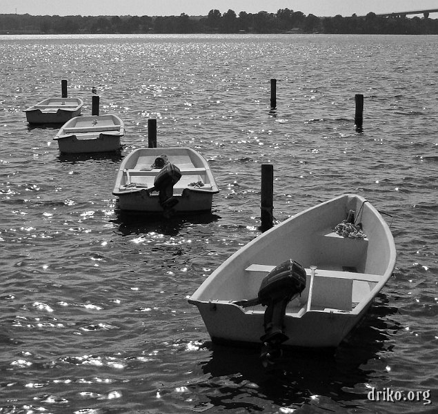 IMG_1506_LR_800.jpg - Boats float serenely in the Patuxent River off of Solomons Island, MD.