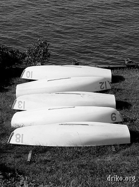 IMG_8267.JPG - Canoes on the St. Mary's River, MD