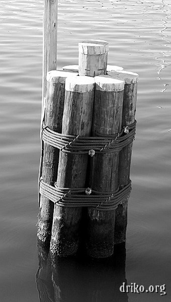 IMG_8321.JPG - B&W conversion of a piling in Baltimore's Inner Harbor
