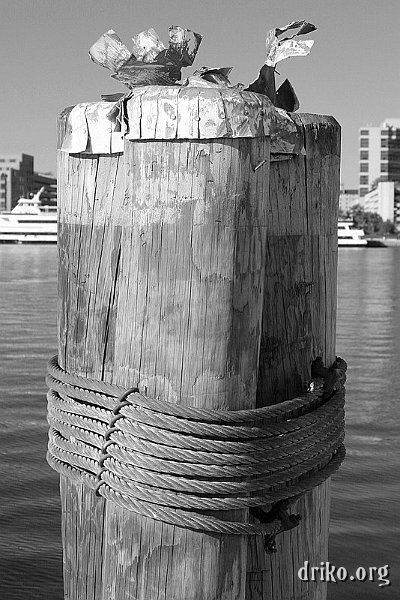 IMG_8343.JPG - A black and white conversion of a piling near the Baltimore Aquarium; looks like Jiffy Pop!  :-)