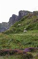 IMG_4768