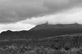 IMG_4783-1