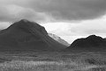 IMG_4787-1
